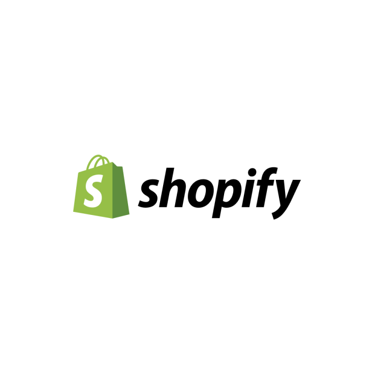 web-development-shopify